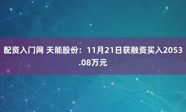配资入门网 天能股份：11月21日获融资买入2053.08万元