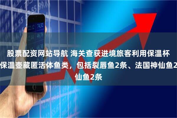 股票配资网站导航 海关查获进境旅客利用保温杯、保温壶藏匿活体鱼类,包括裂唇鱼2条、法国神仙鱼2条
