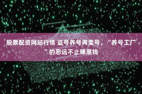 股票配资网站行情 盗号养号再卖号,“养号工厂”的恶远不止赚黑钱