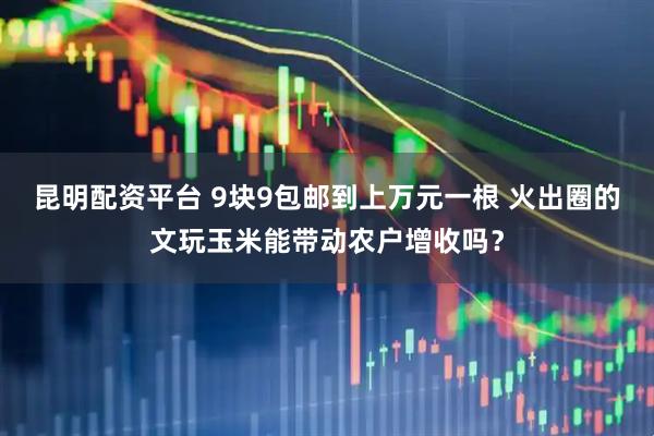昆明配资平台 9块9包邮到上万元一根 火出圈的文玩玉米能带动农户增收吗？